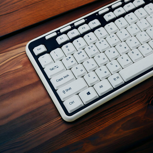 White & Black ROYCHE Wireless Keyboard and Mouse